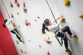 利物浦2-0纽卡，24轮不败13分领跑联赛 英超3-8名只差6分，将为欧冠名额缠斗